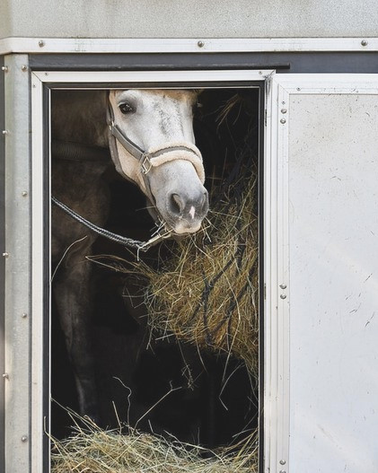 Accompagnement achat