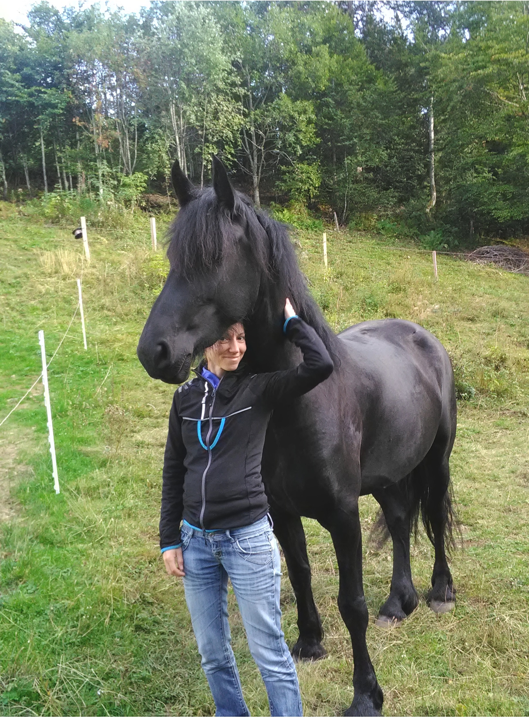 Comportementaliste équin Jura